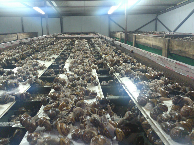 Unsere Bio-Farm, briv