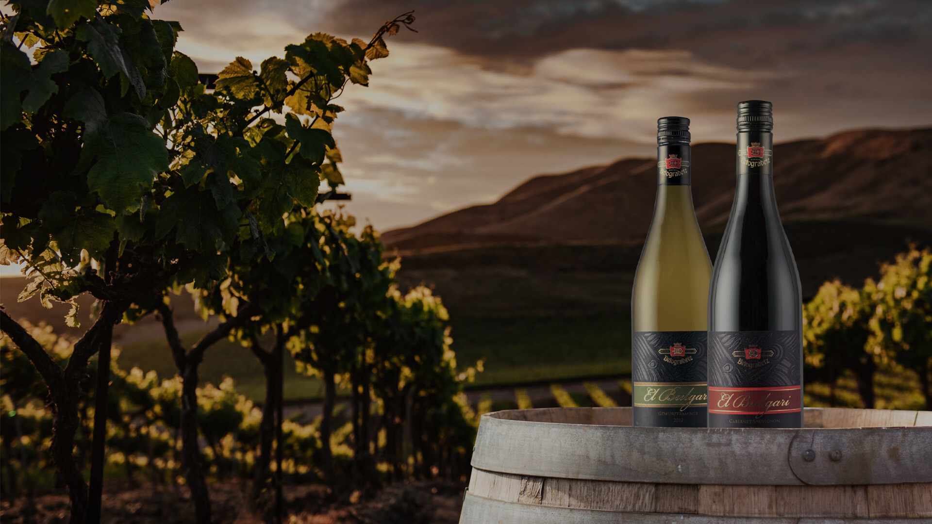 Wein, briv.cz Wein, briv.cz