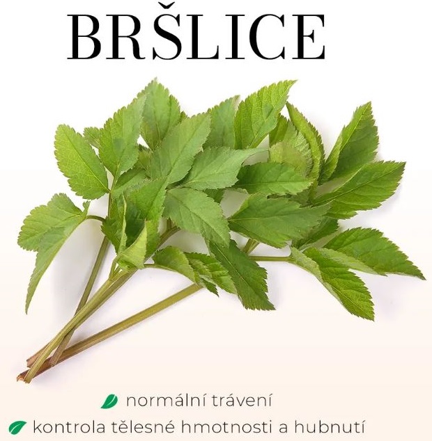 ARTROREGEN PREMIUM - KLOUBNÍ VÝŽIVA, Bylinné sirupy, briv