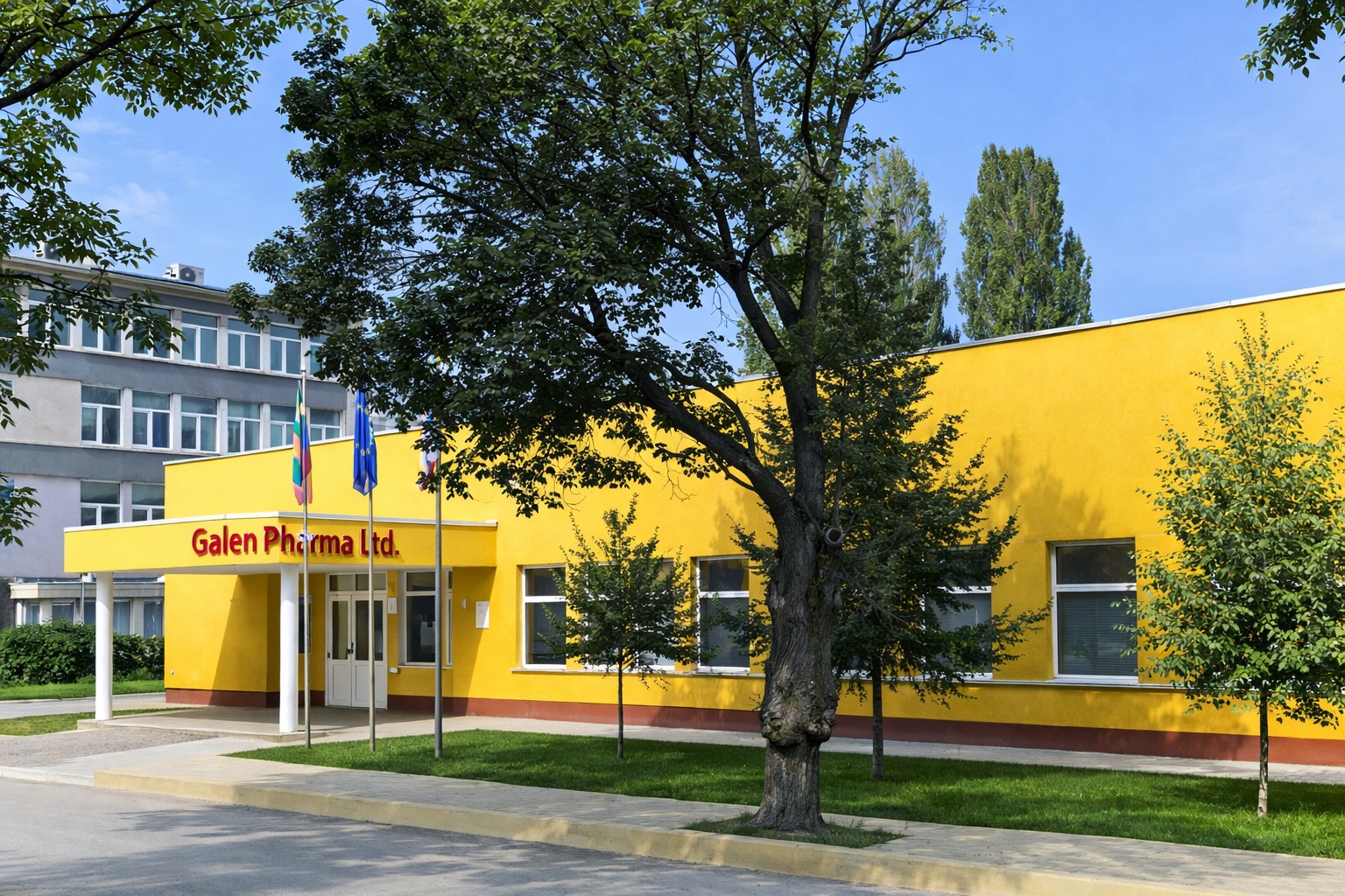 Produktion von Nahrungsergänzungsmitteln für Gelenke und Magen-Darm-Gesundheit in moderner Herstellungsanlage